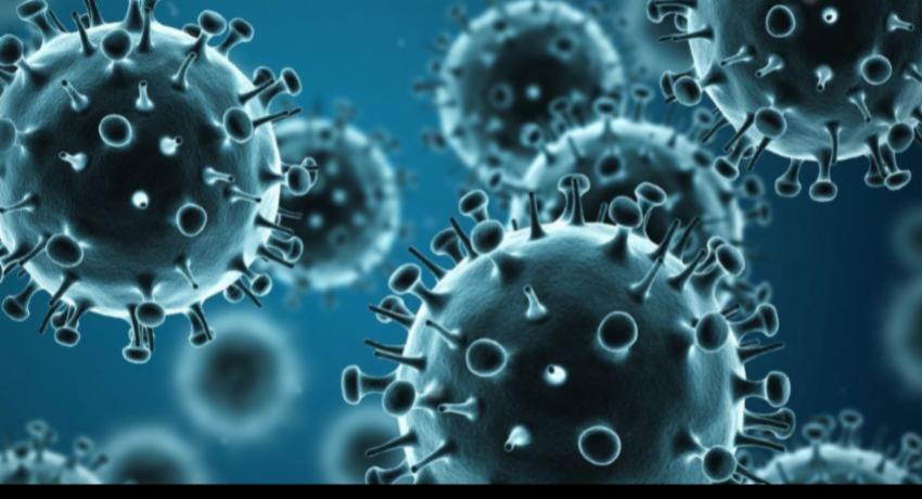 Sri Lanka Sees Increase in Influenza Infections